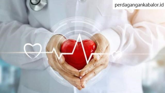Cara Menjaga Kesehatan Jantung yang Perlu Dilakukan Saat Ini